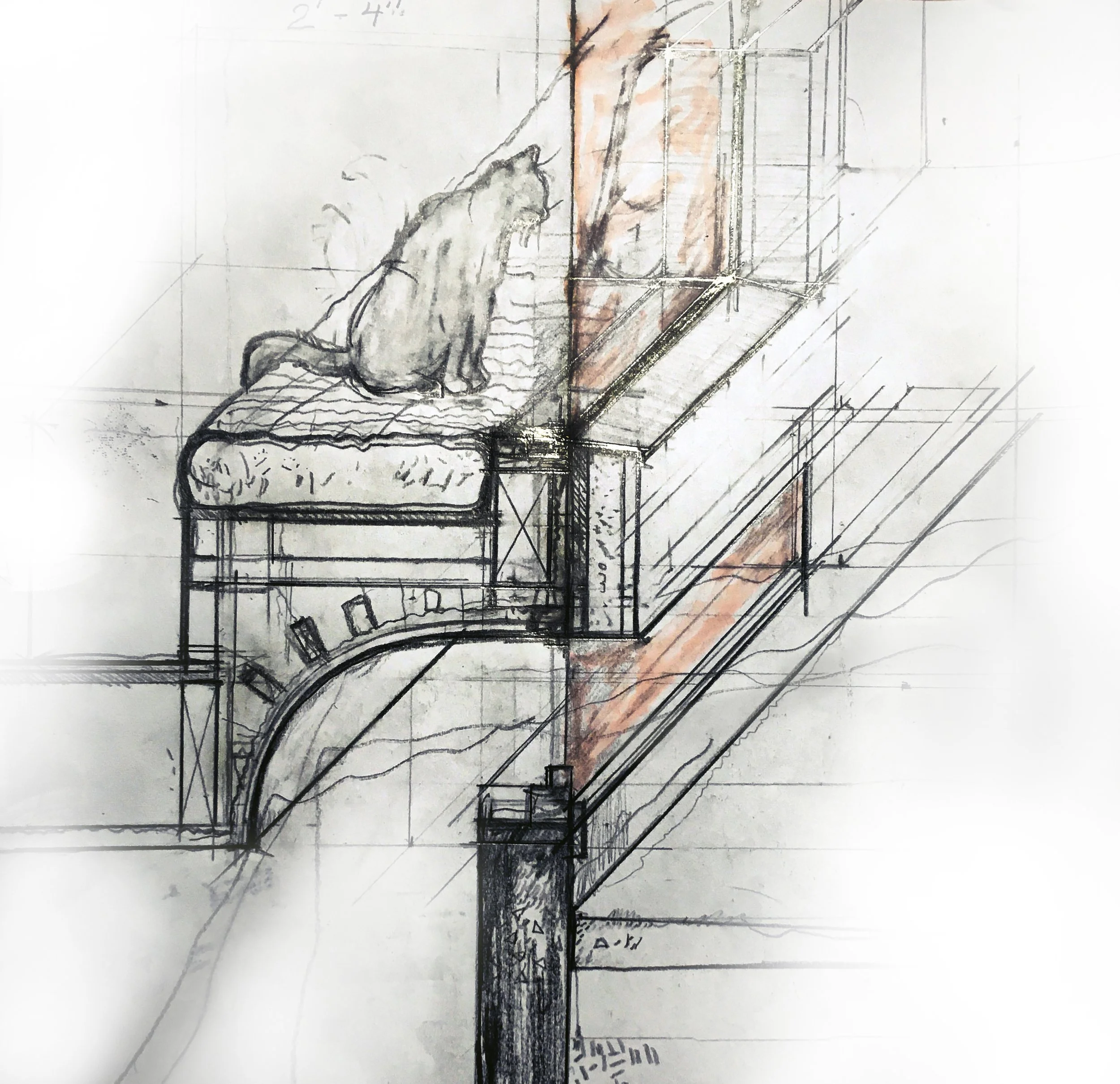 kiest.cat.sketch copy.jpg