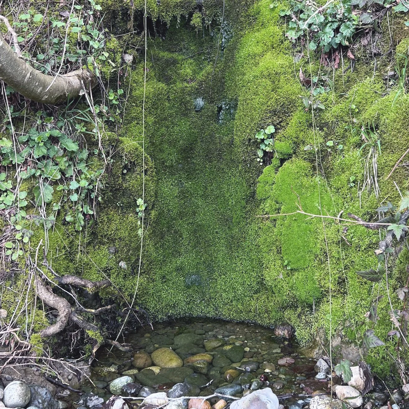 grotto.full.SQUARE.DESAT.jpg
