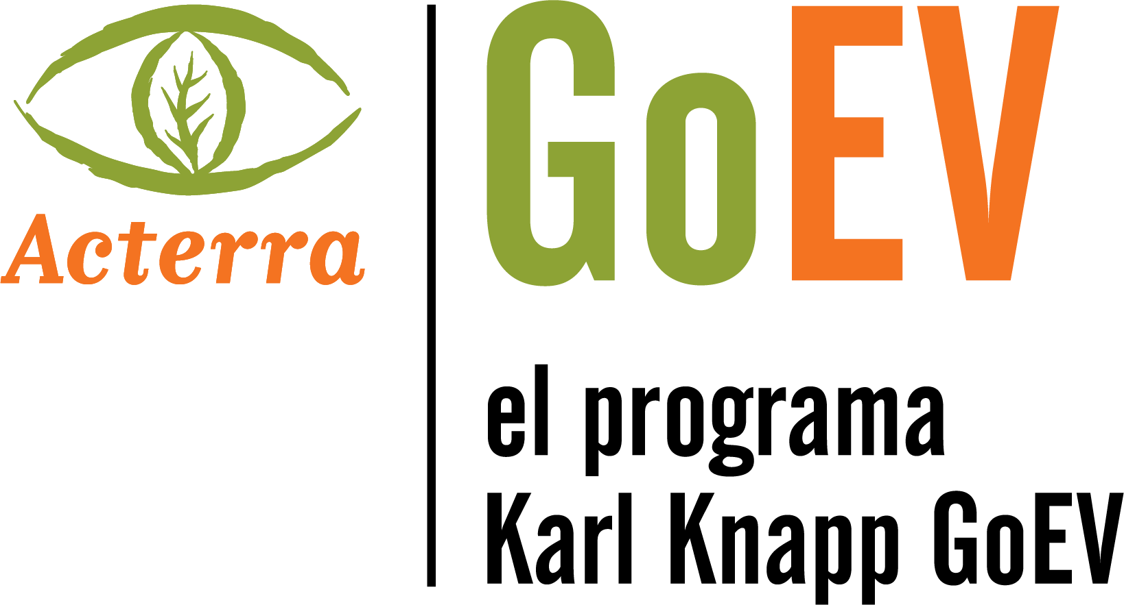 GoEV-KK项目标志2020 spanish.png