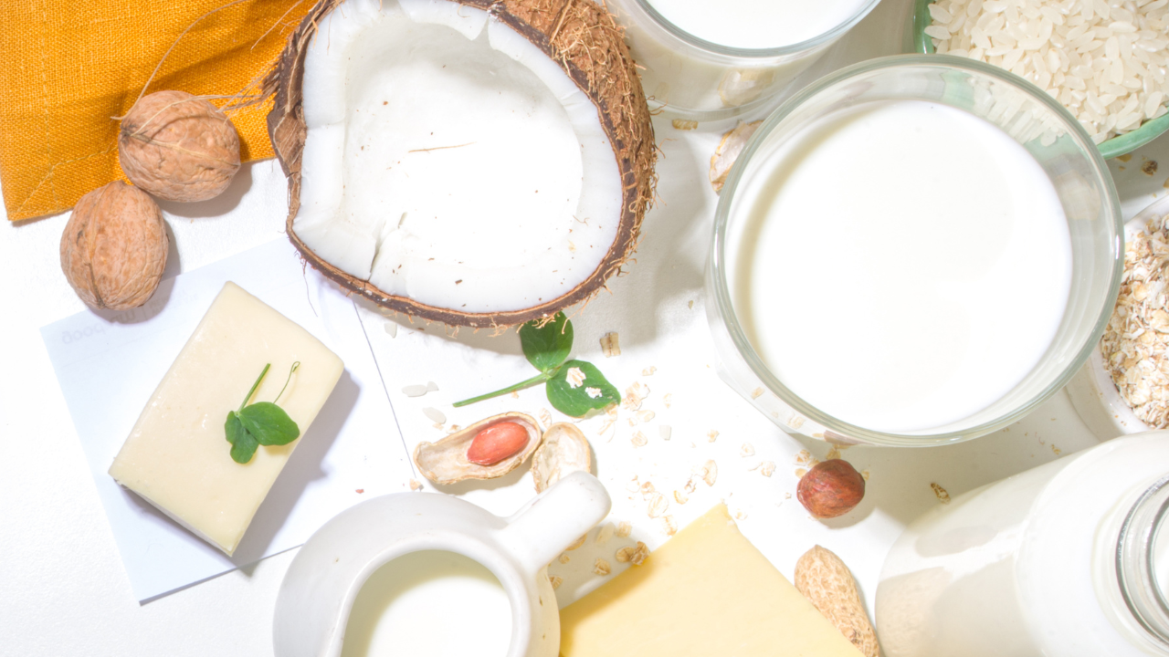 植物性乳制品品尝