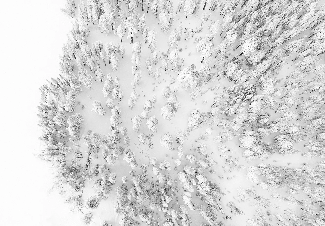 DJI_0153-Edit-Edit-Edit.jpg