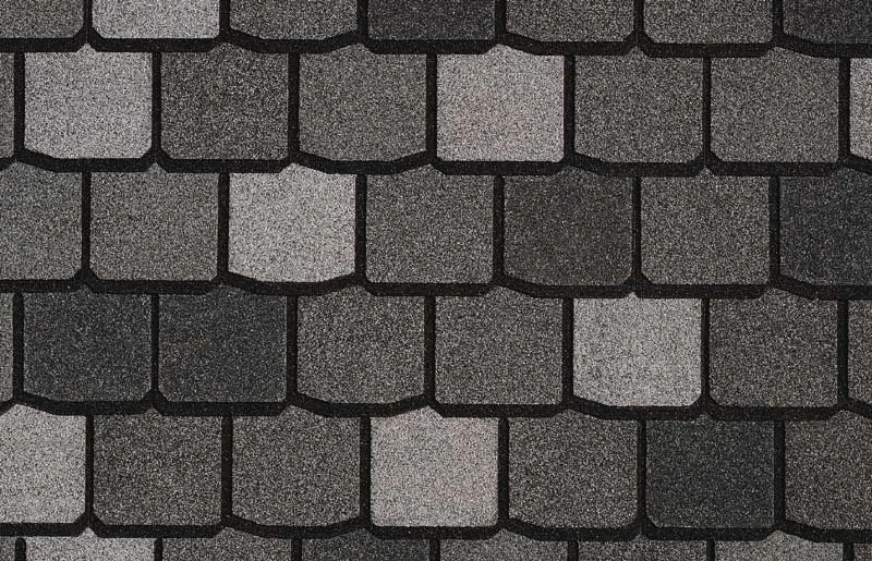 shingle banner background.jpg