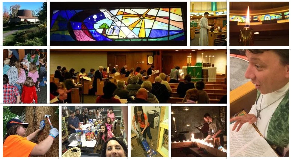 collage2-2016-09-08.jpg