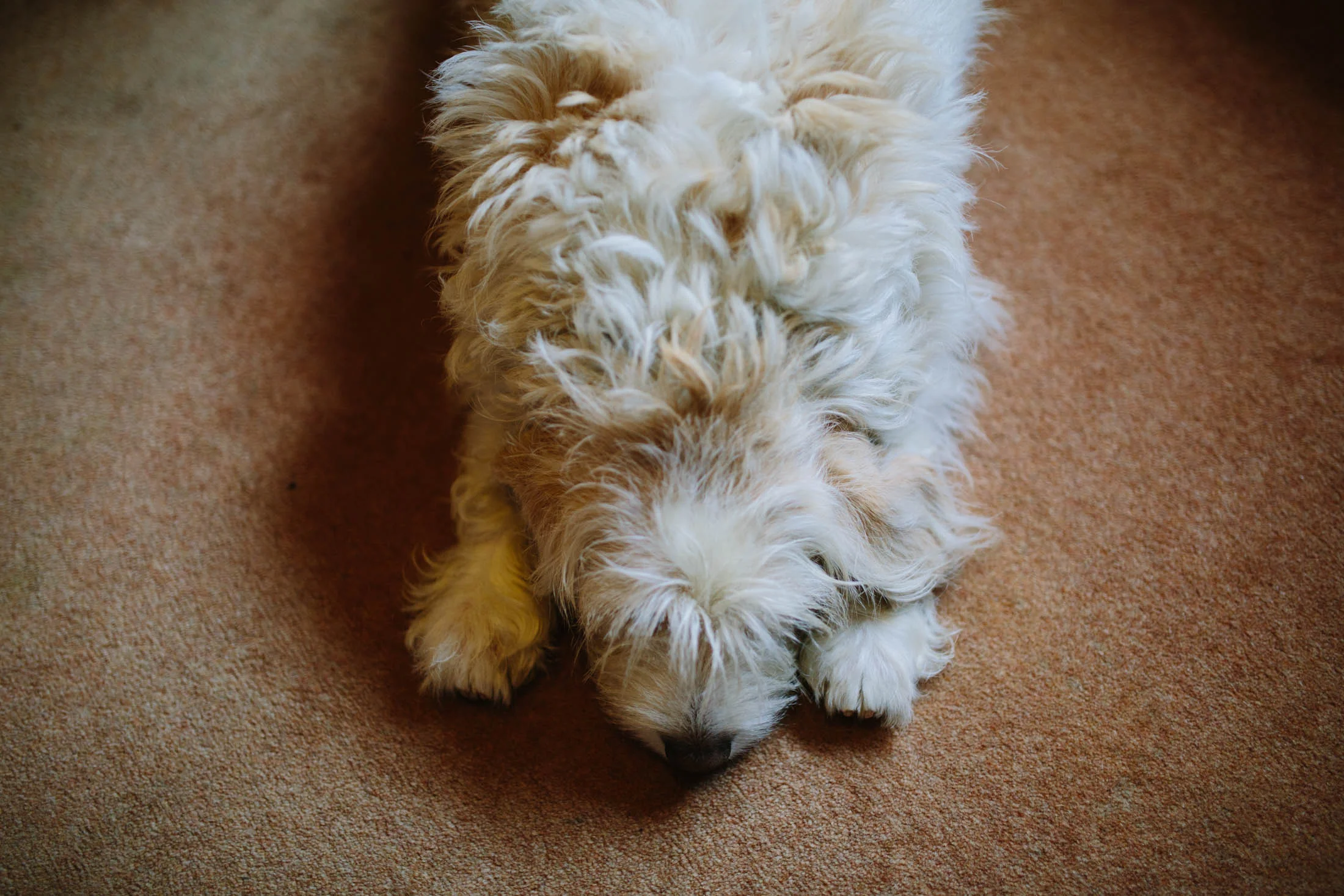 JessicaJillPhotography-1.jpg