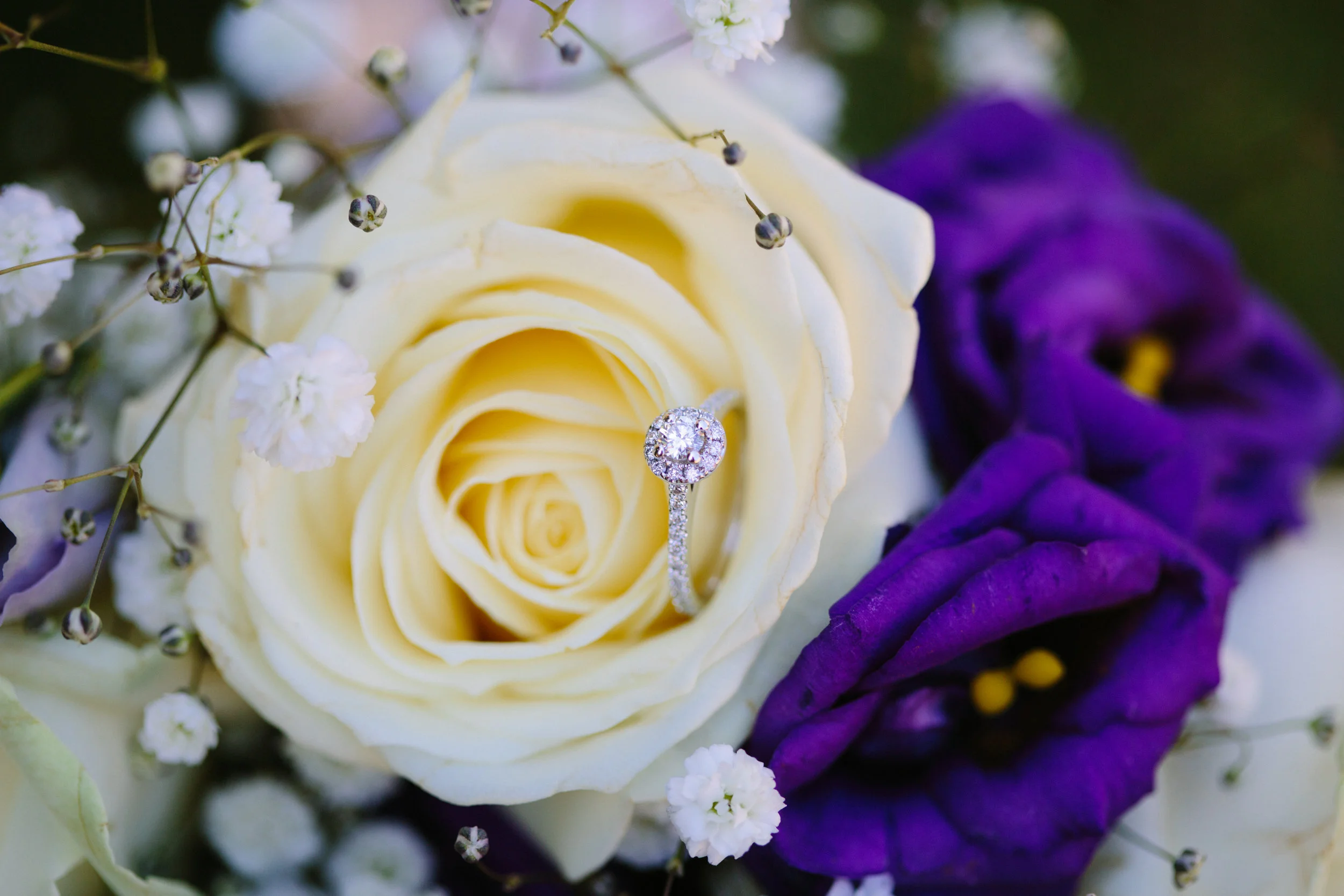 jessicajillphotography-5.jpg