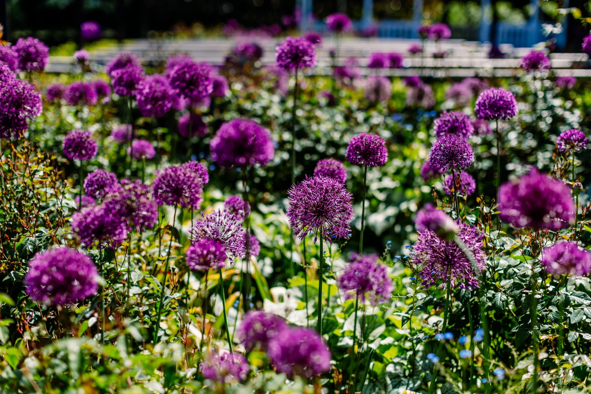 JessicaJillPhoto-new-147.jpg