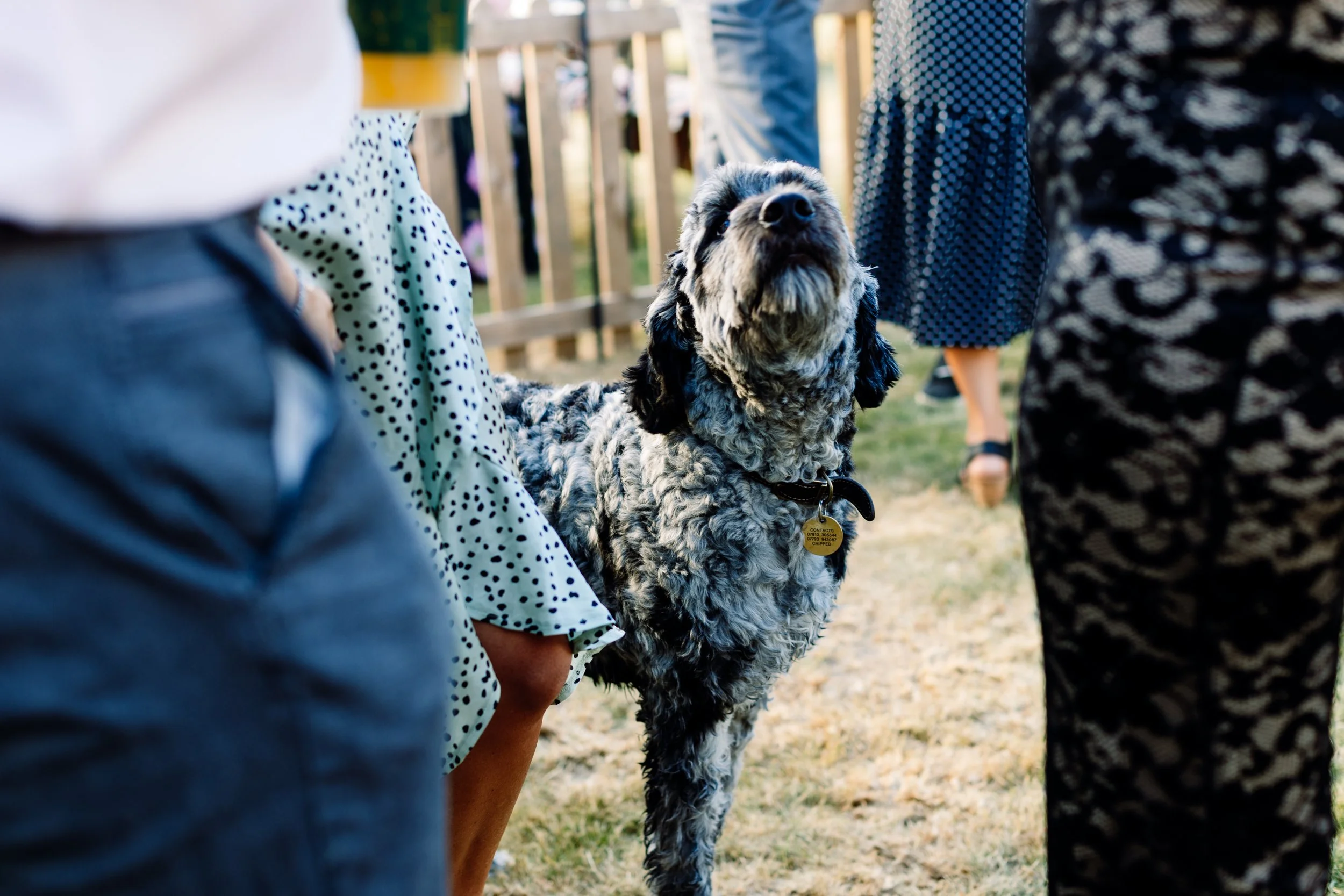 JessicaJillPhoto-new-50.jpg