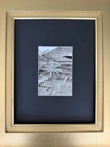 FloraPetite02.blackgold.jpg