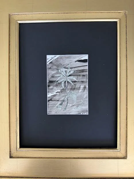FloraPetite02._1.jpg