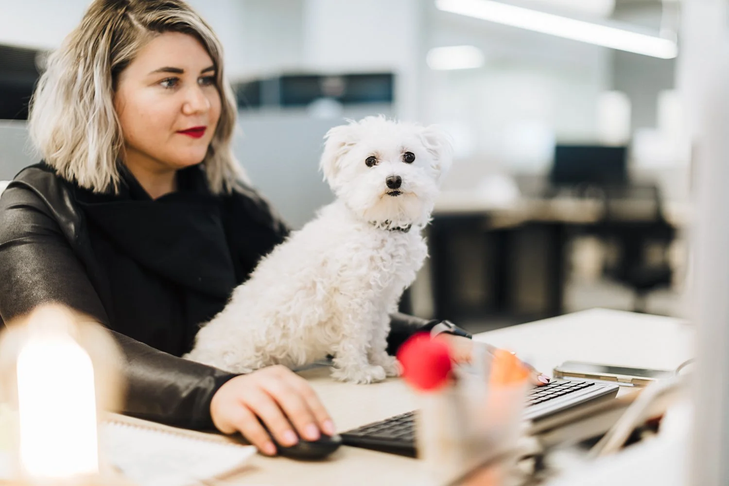A woman working at her desk with a white fluffy dog sitting beside her