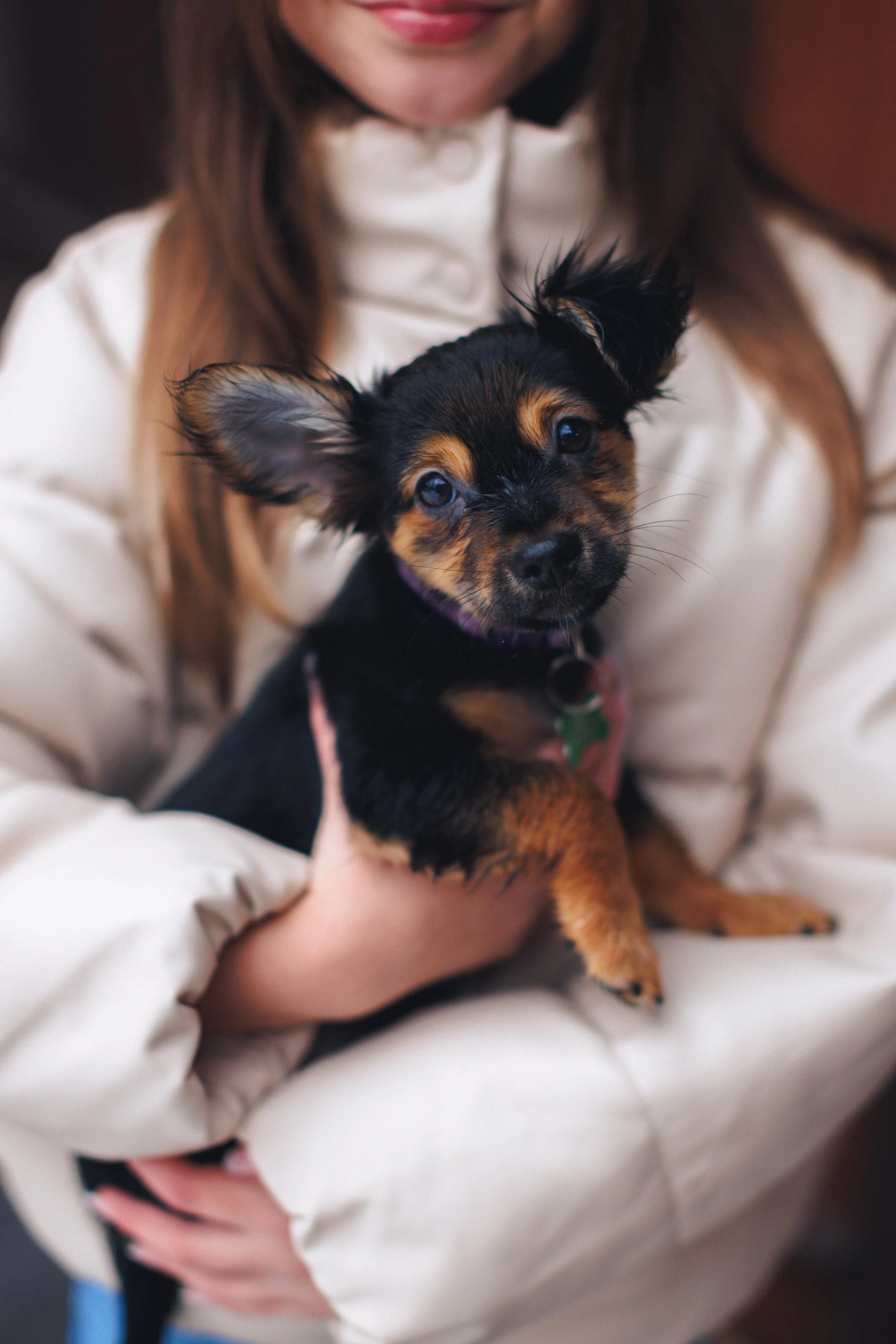 A woman in a white coat holding a small black and brown puppy with one ear flopped and the other upright.