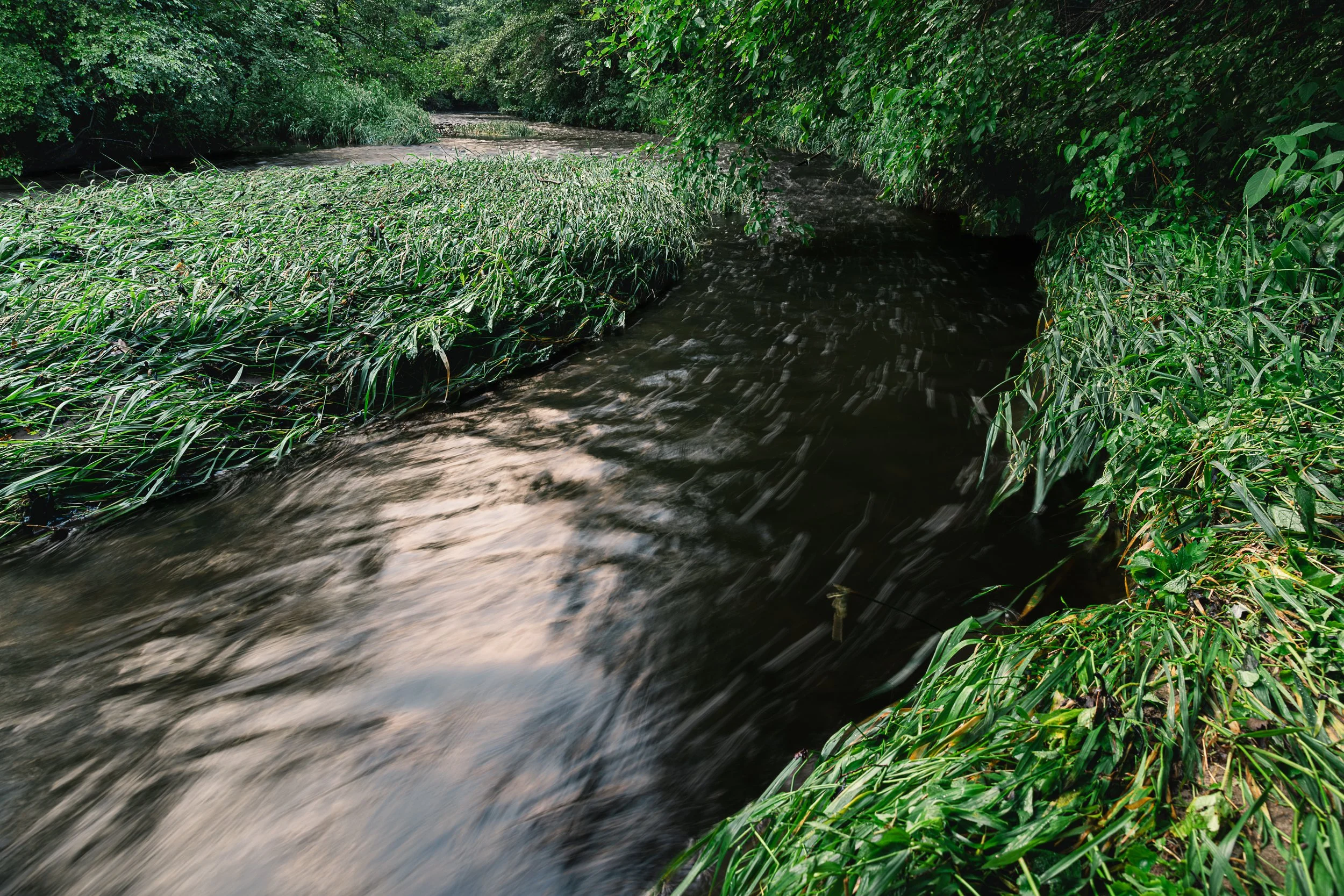 A small river with dark water flowing through lush green foliage and bushes on both banks.