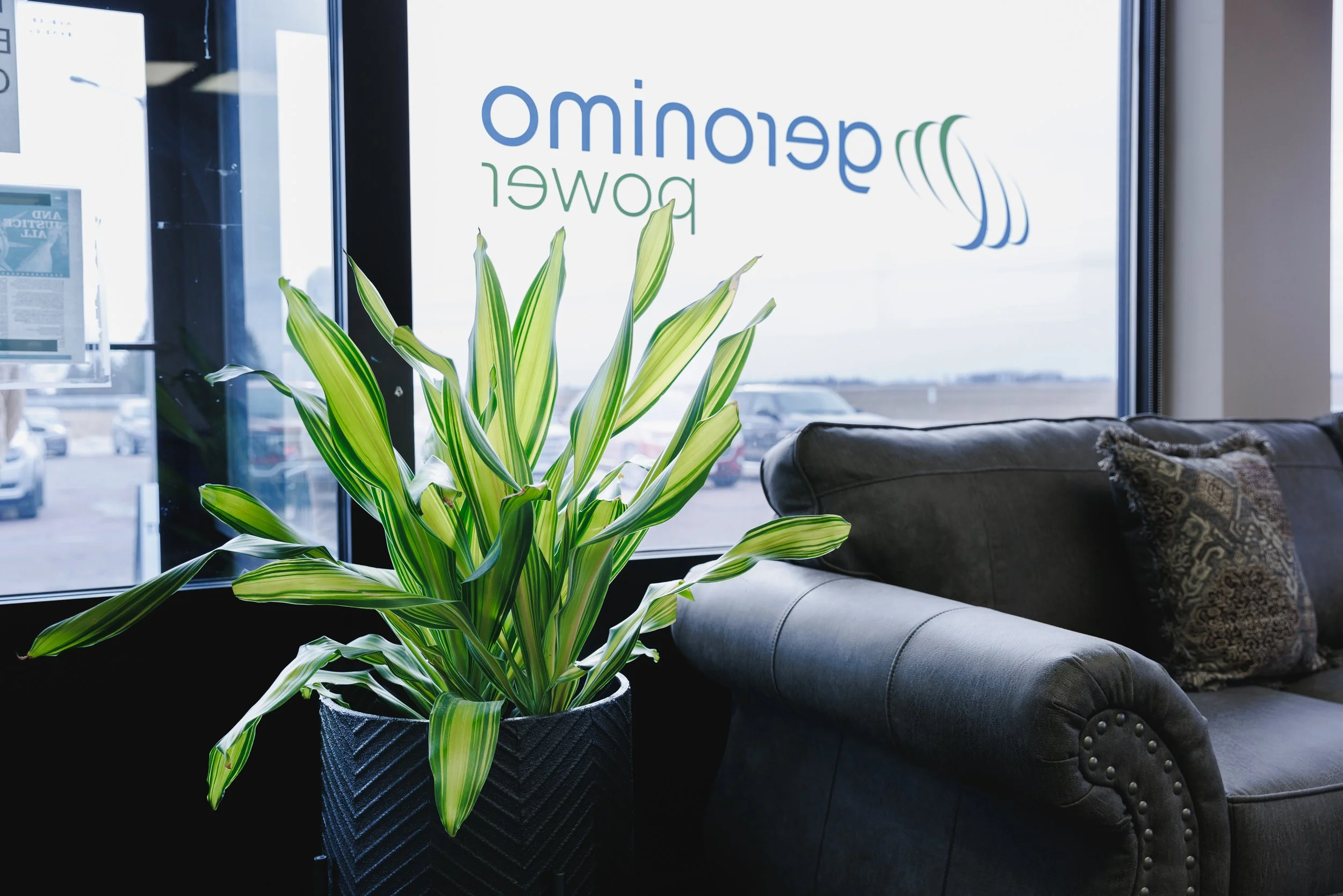 Indoor space with a green potted plant near a window, a sofa with decorative pillows, and a sign on the window that reads 'domegno power' in reverse.