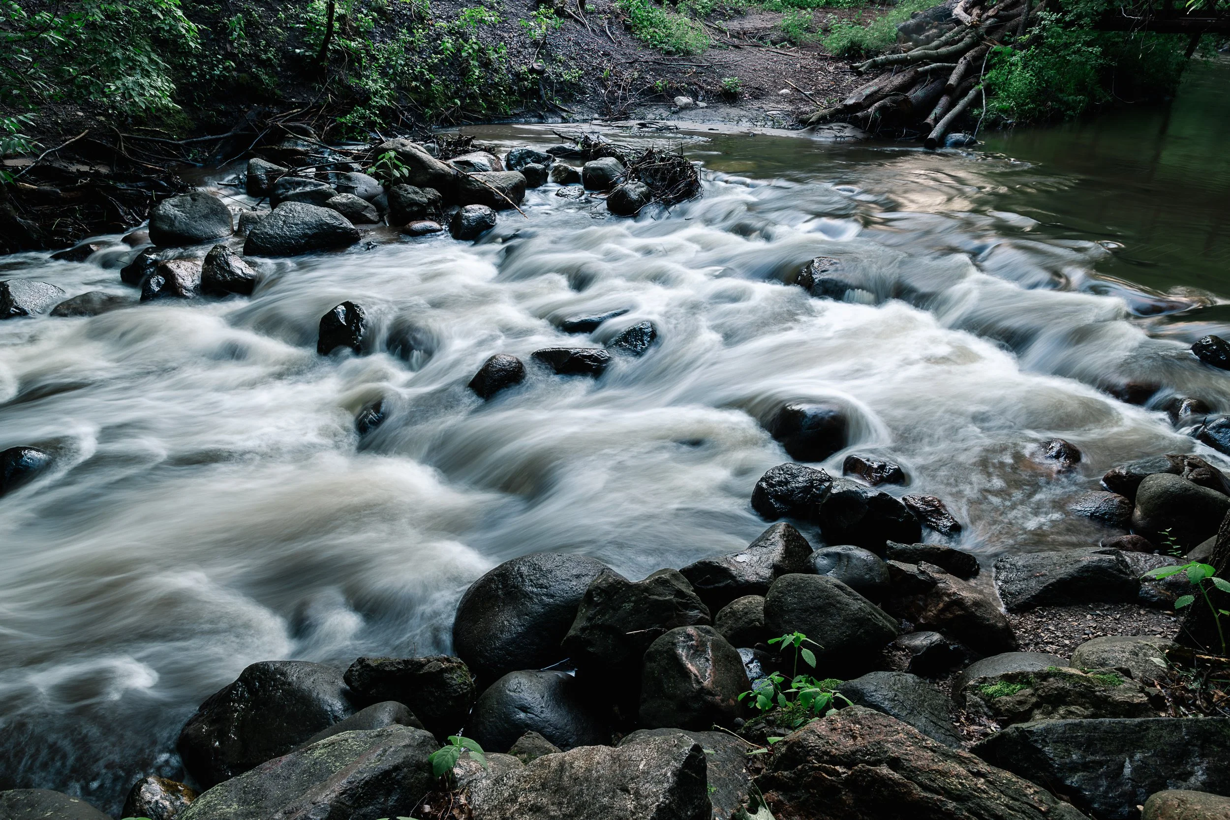 A flowing stream with water rushing over rocks in a wooded area, surrounded by green foliage.