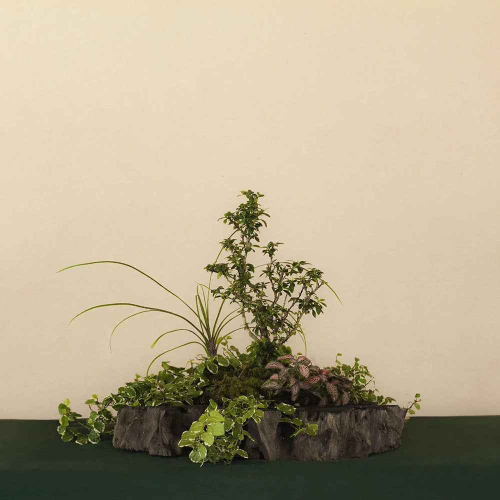 Ecolov