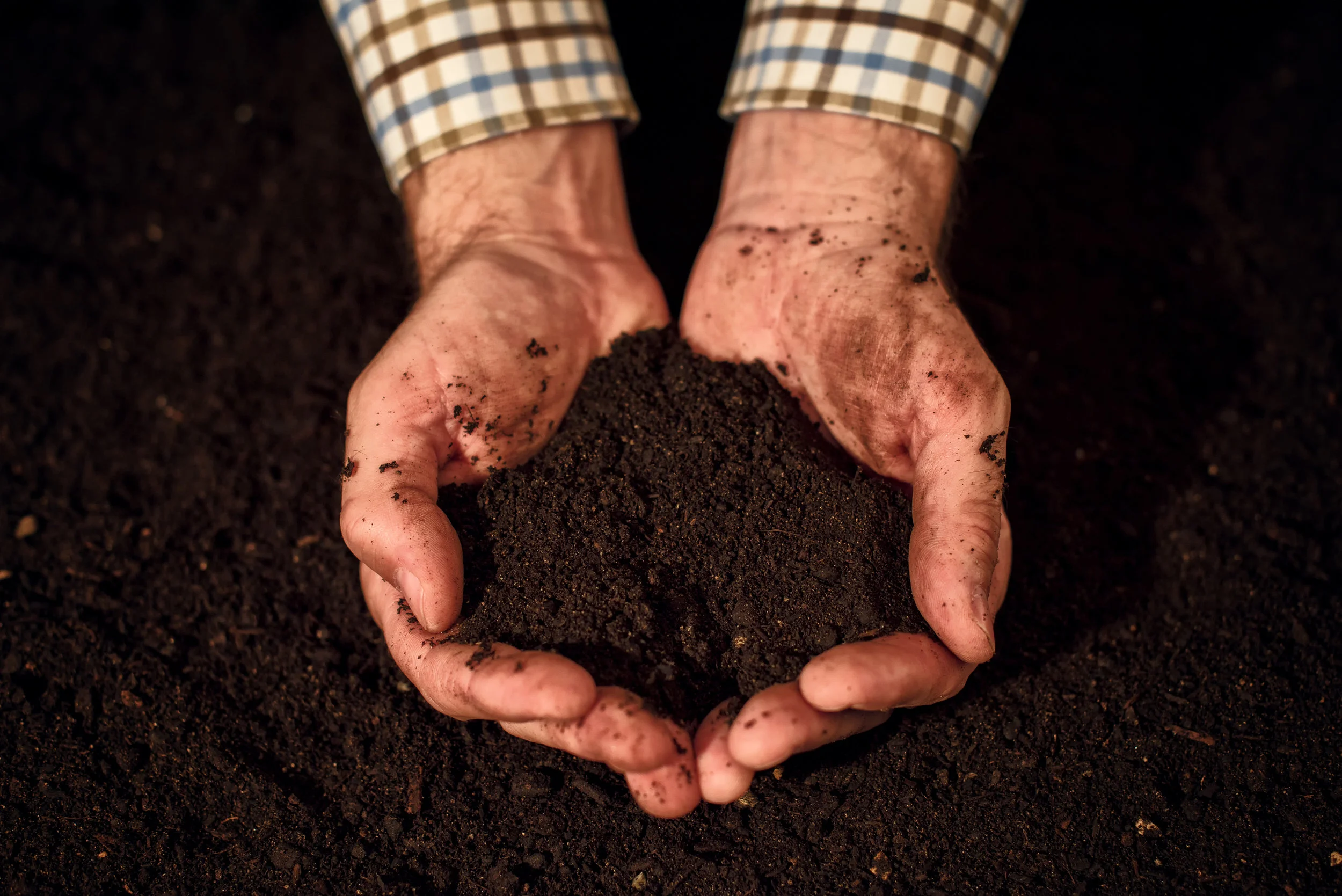 quality-soil-in-male-gardener-hands-P2E66GS.jpg