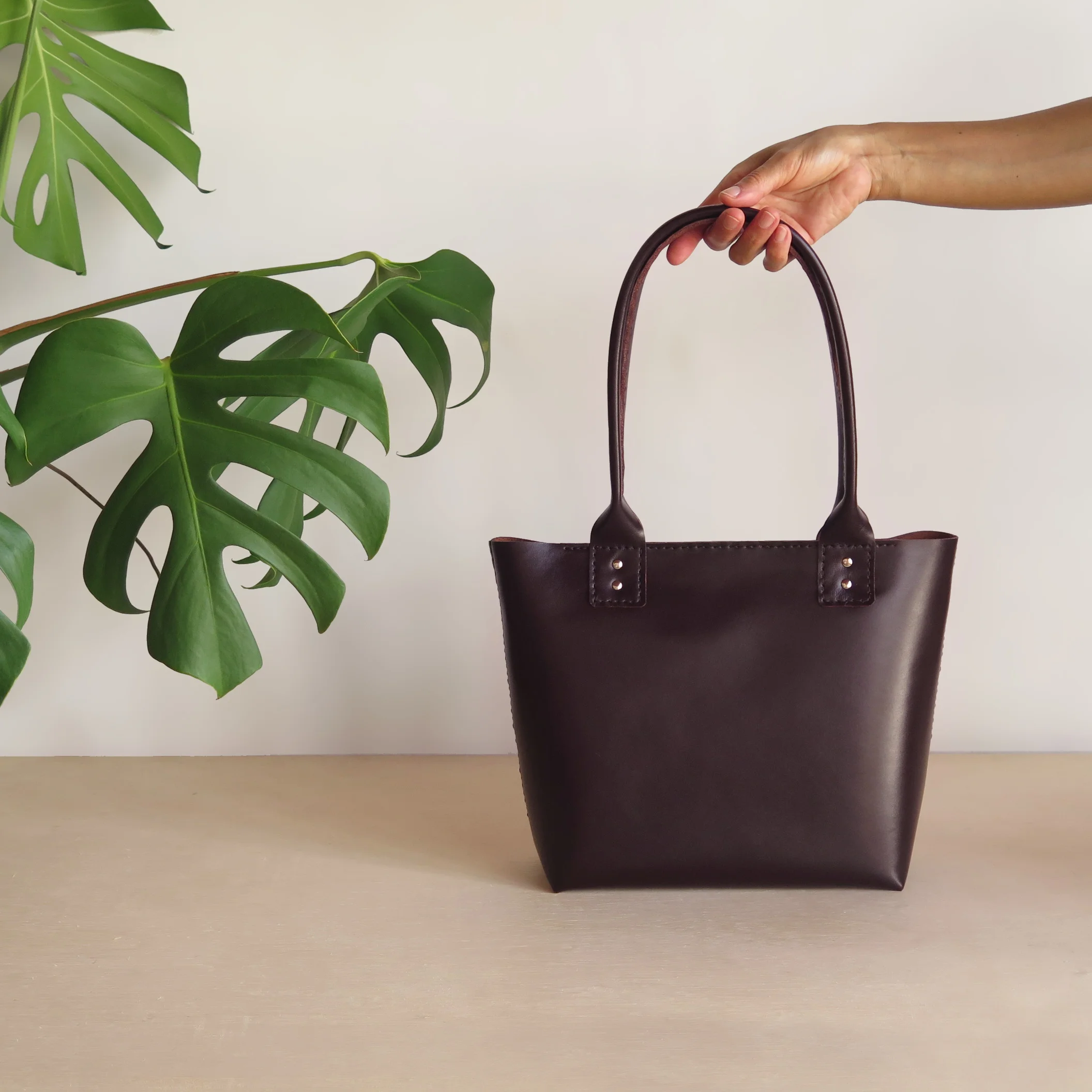 tote mini.jpg