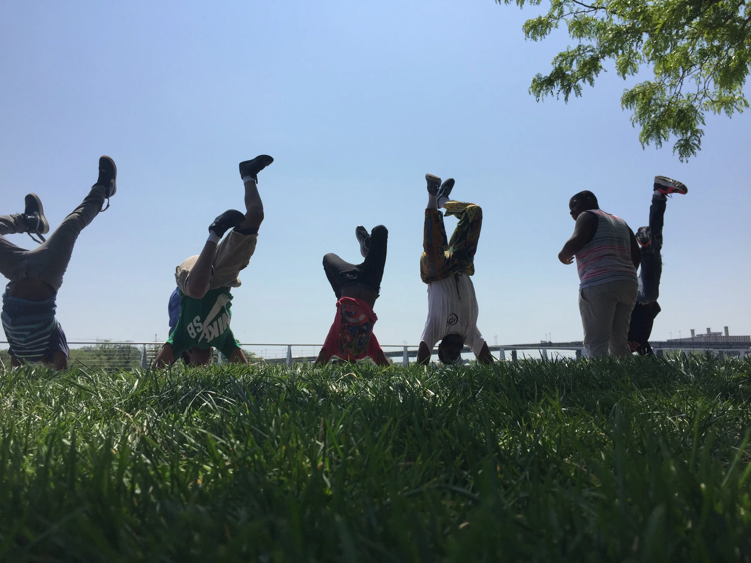 Family Capoeira Online Classes