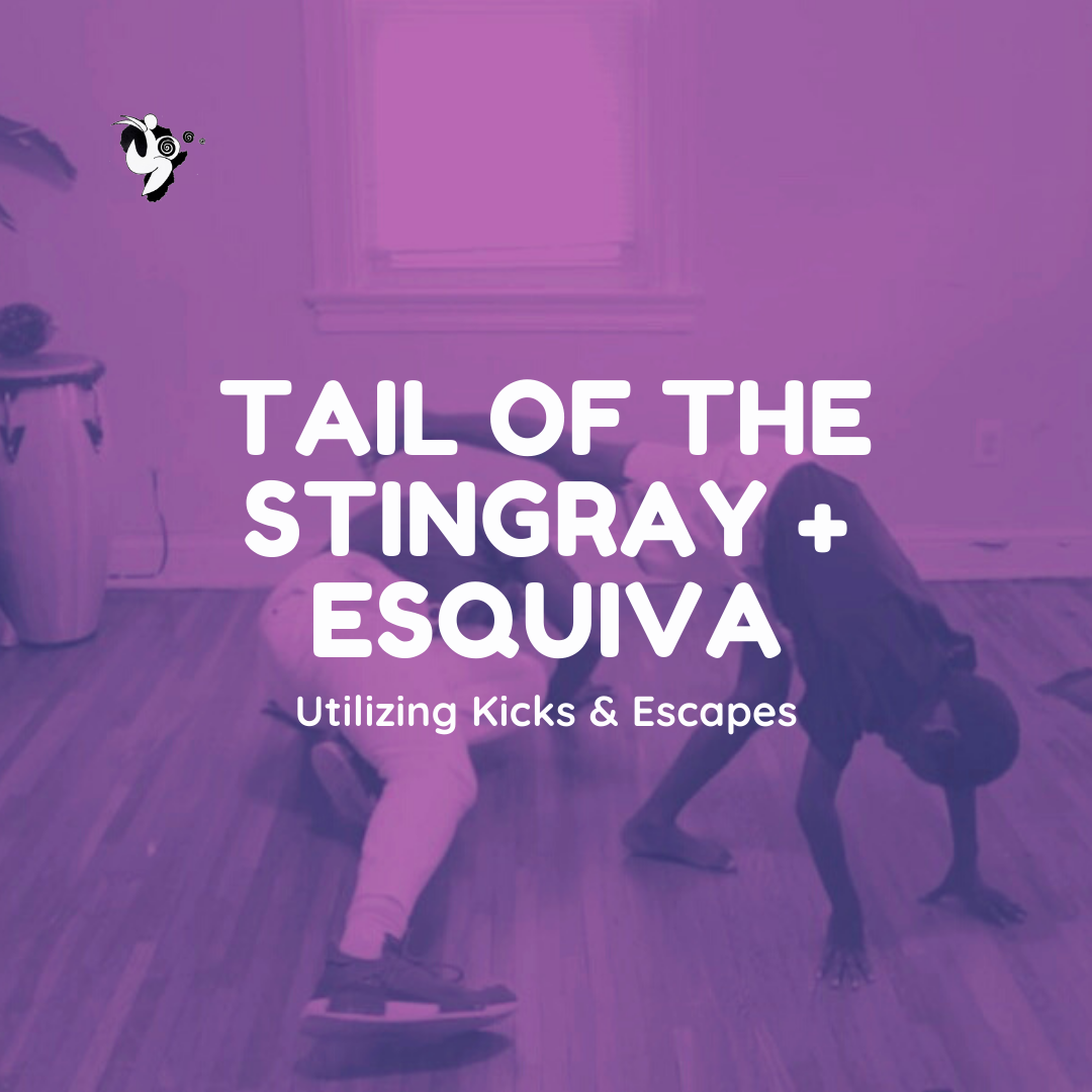 FC_face_stingray Esquiva_box.png