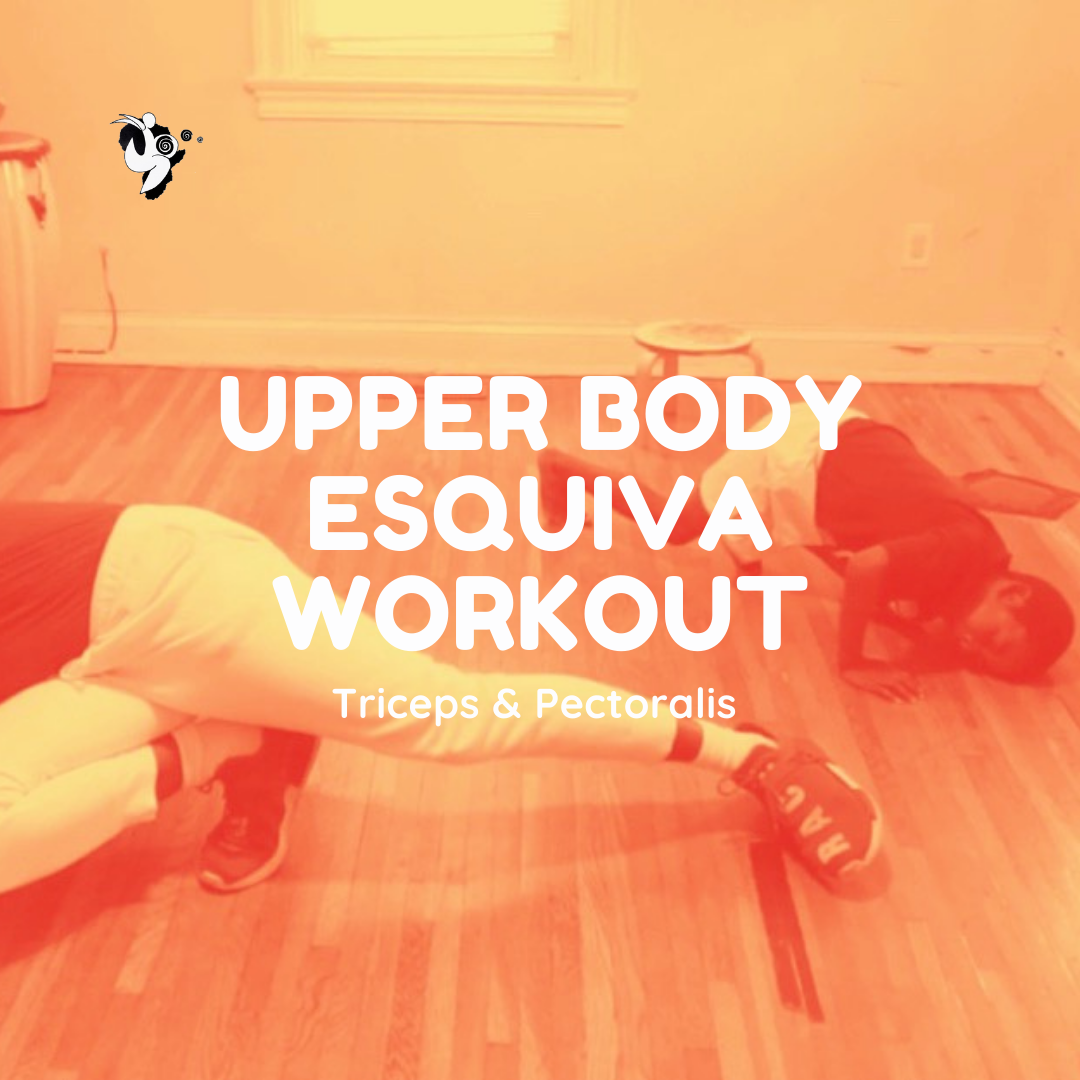 FC_face_upper body Esquiva_box.png