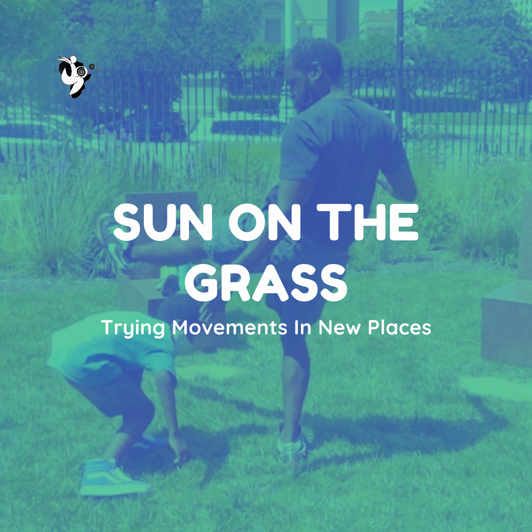 FC_face_sun on the grass_box.png