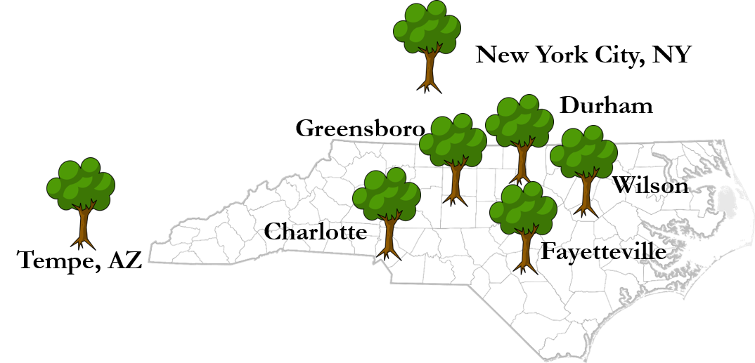 Since 2014, the DCOI has enabled over 6,400 trees to be planted in 7 cities.