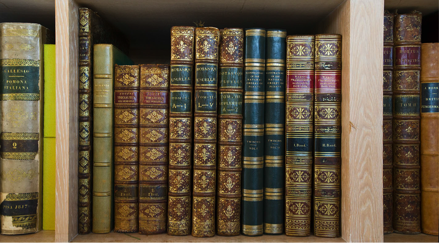 Nearly one-tenth of the library's printed materials collection is made up of rare books dating between 1499-1900. 