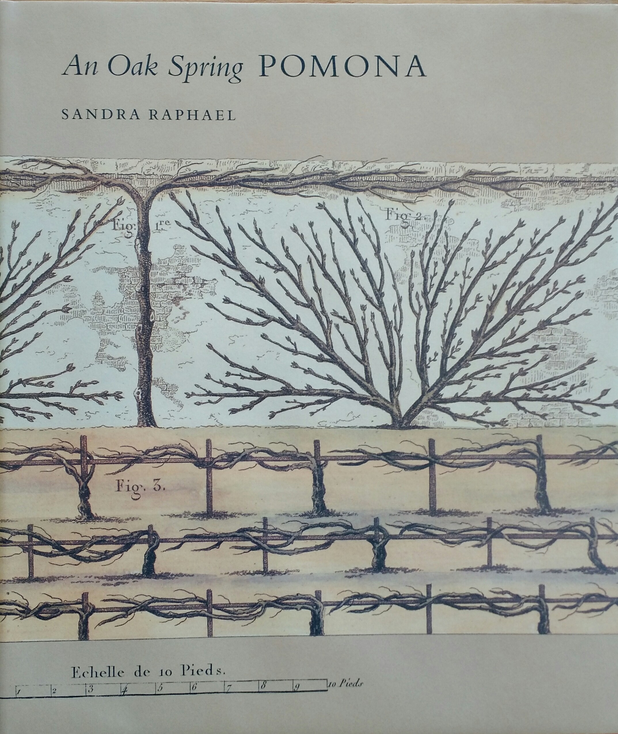  An Oak Spring Pomona, 1990