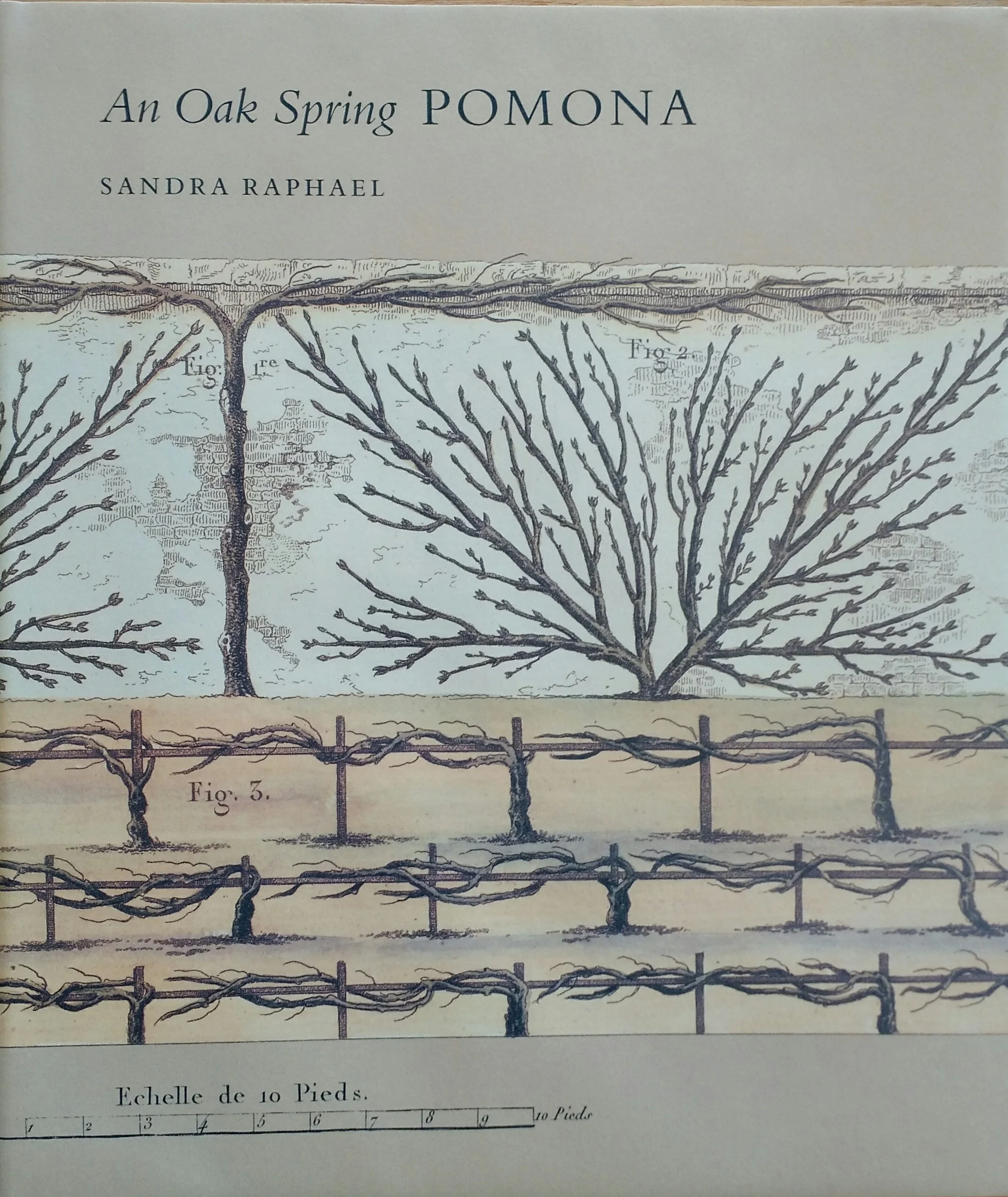 An Oak Spring Pomona, 1990