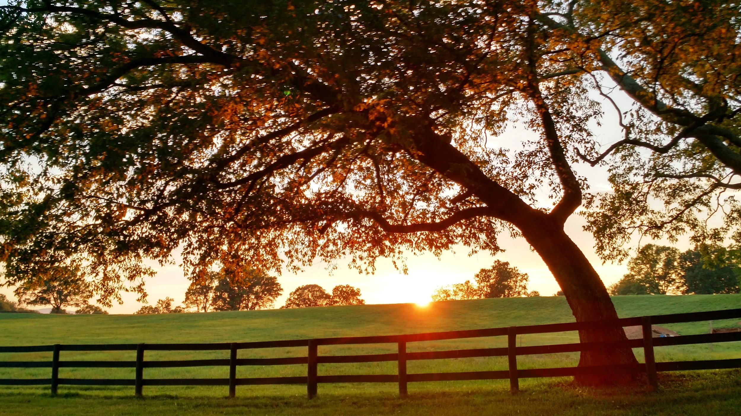 OakRedSunset.jpg