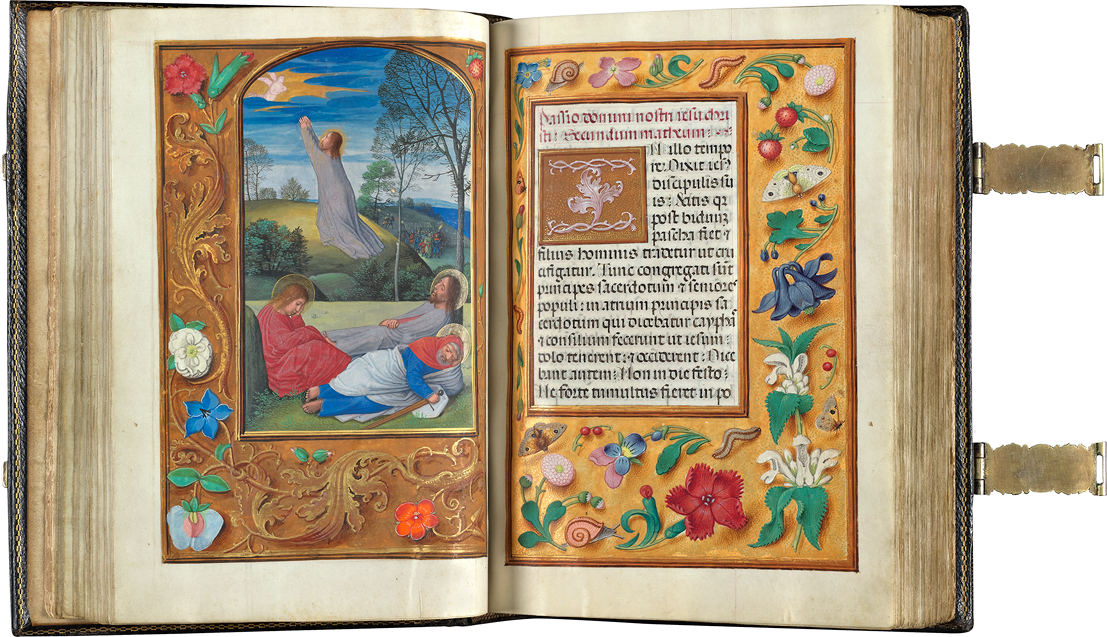   This book of hours (ca. 1530-1535)&nbsp;contains illuminations attributed to the great Flemish artist Simon Bening,&nbsp;framed by decorated motifs from nature.&nbsp;  