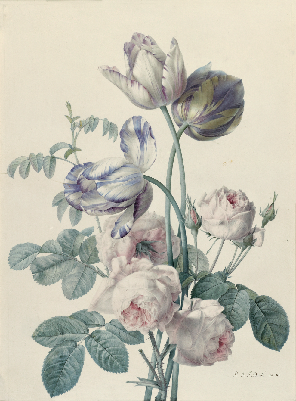 Oak Spring Garden Foundation Library