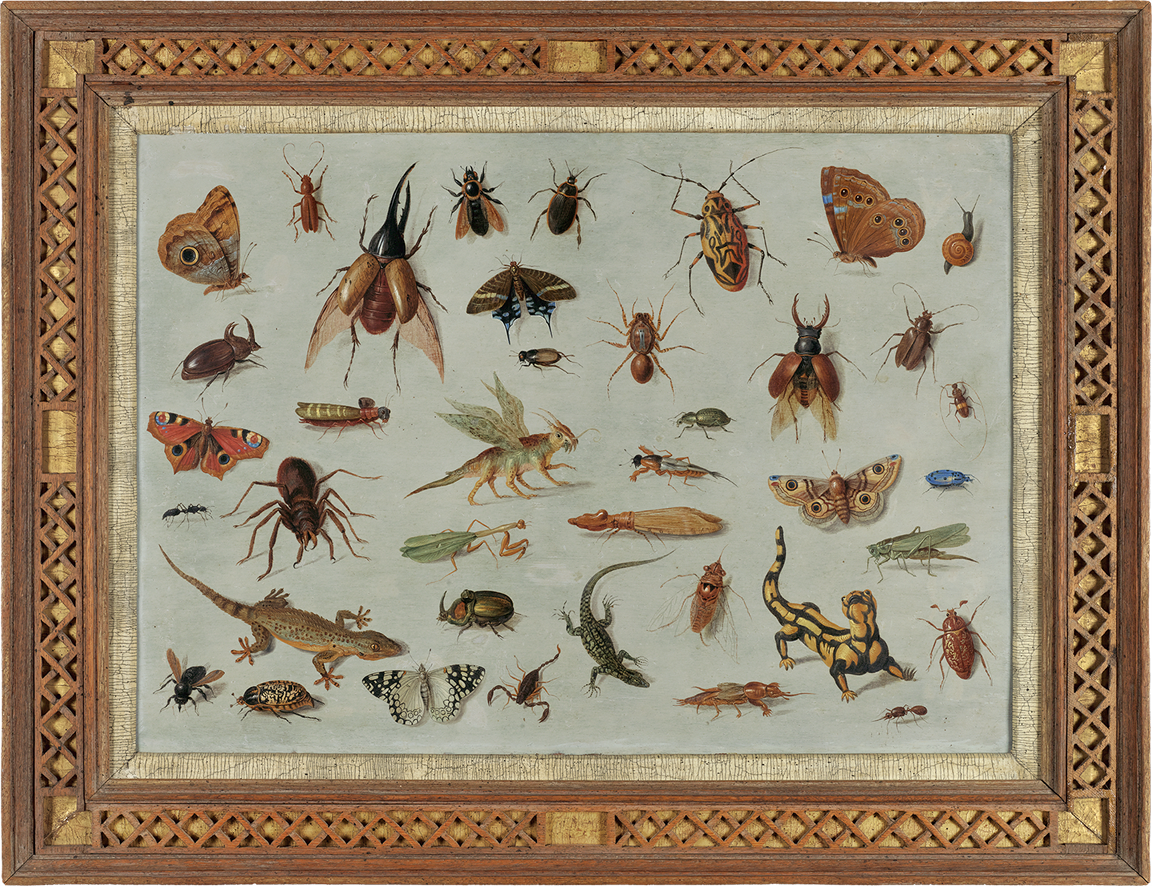   Jan Van Kessel the Elder was a 17th century Flemish painter with a passion for the natural world. You can learn more about his work by watching OSGF's video feature on him  here .&nbsp;  