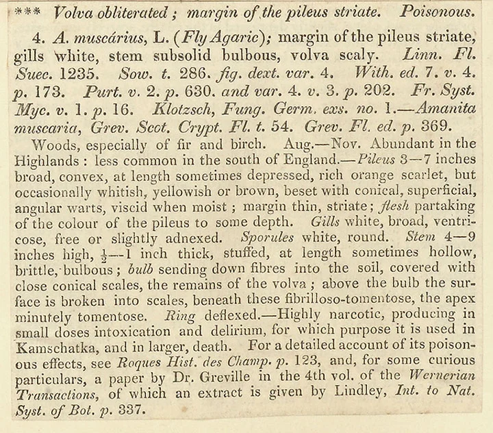 Hussey_description.jpg