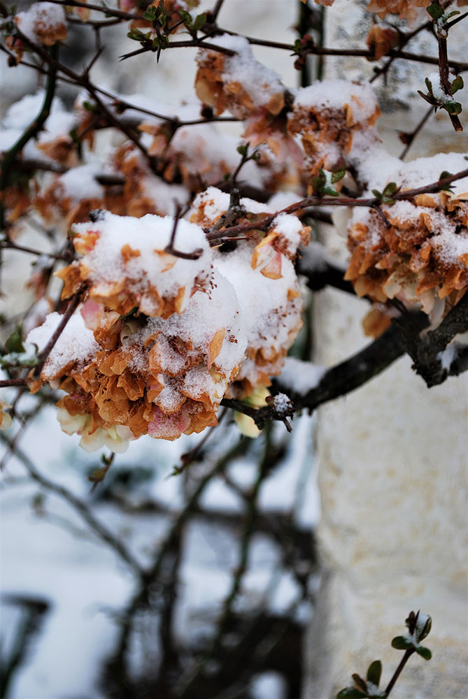DSC_0016.jpg