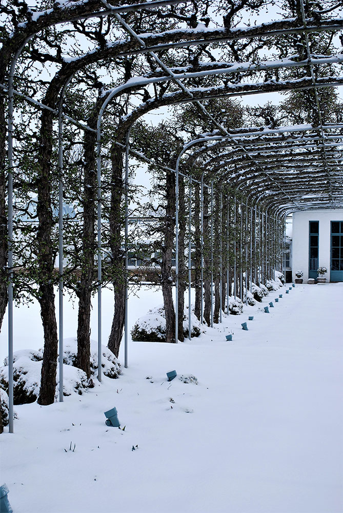DSC_0030.jpg