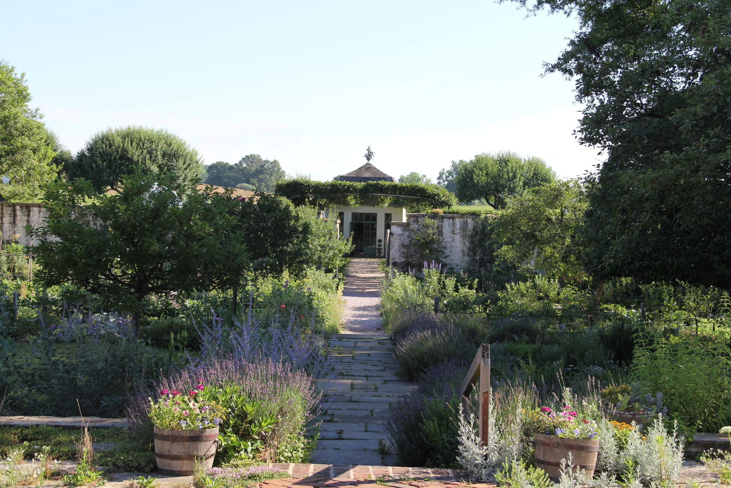 Summer at Oak Spring