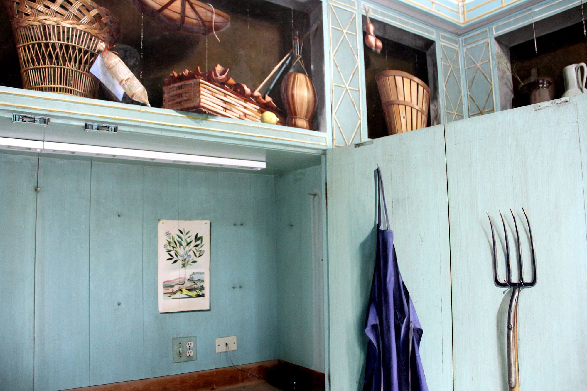 Bunny Mellon's Library Favorites: Inside the Phytographia curiosa