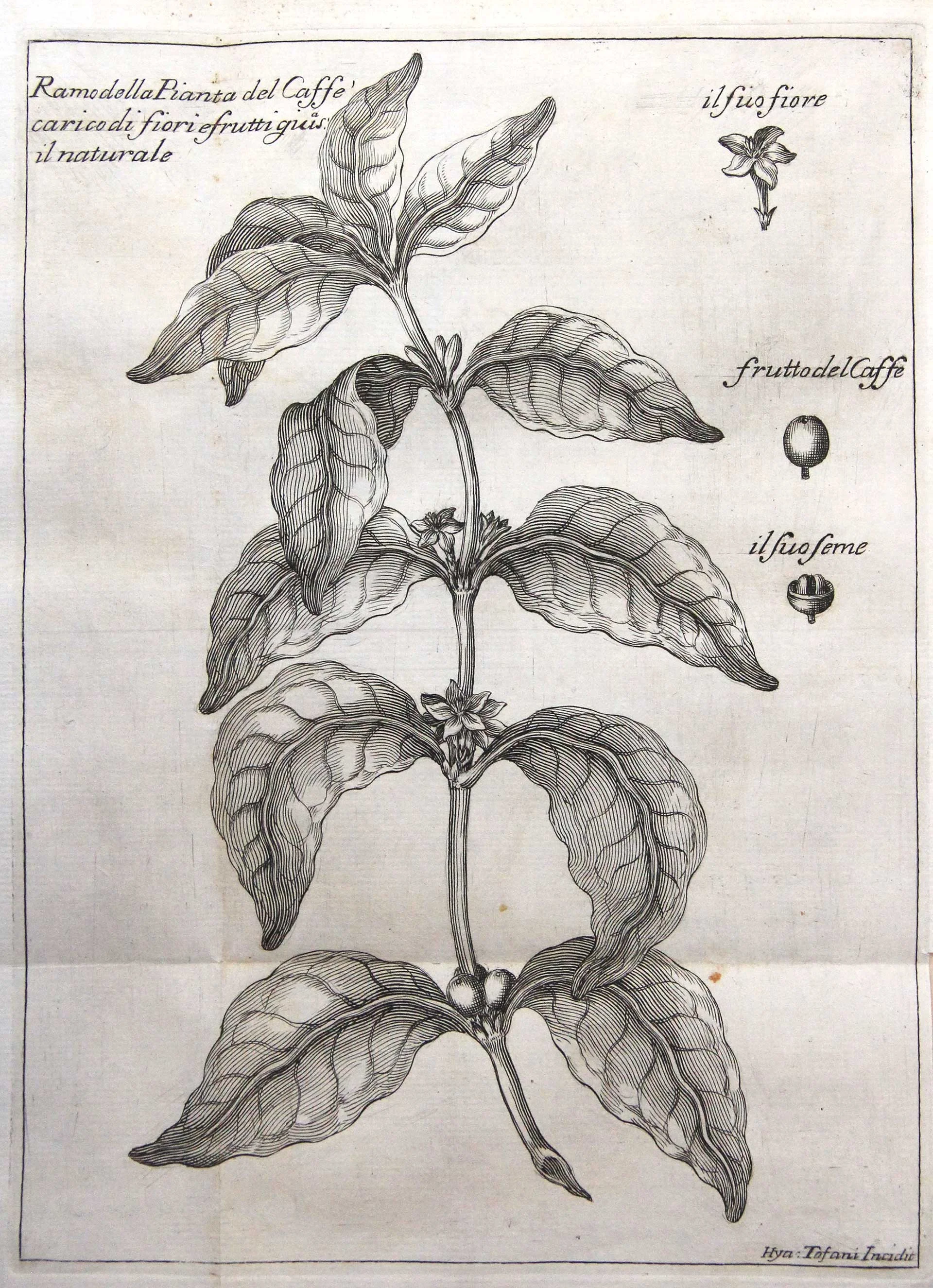 Nicolas de Blegny (1652-1722)
