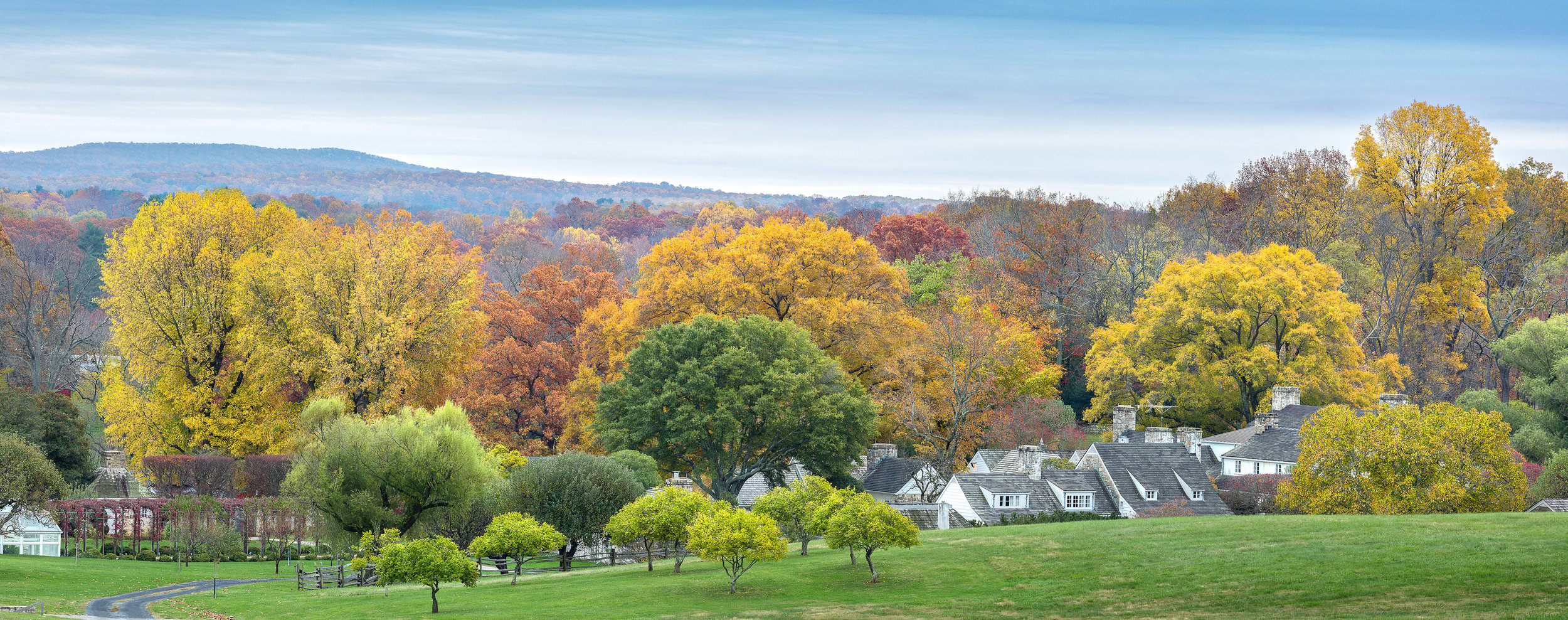 Roger Roley_oakspring_066-Pano.jpg