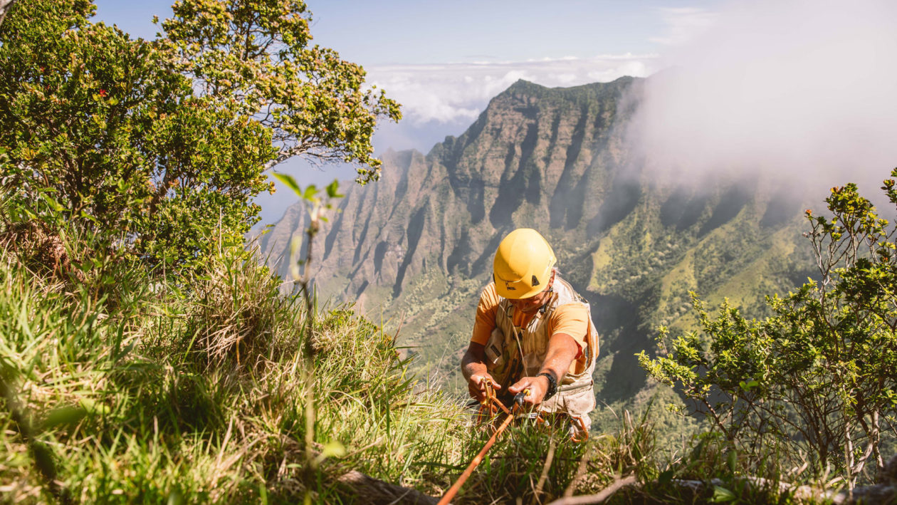 Extreme Botany: The Precarious Science of Endangered Rare Plants