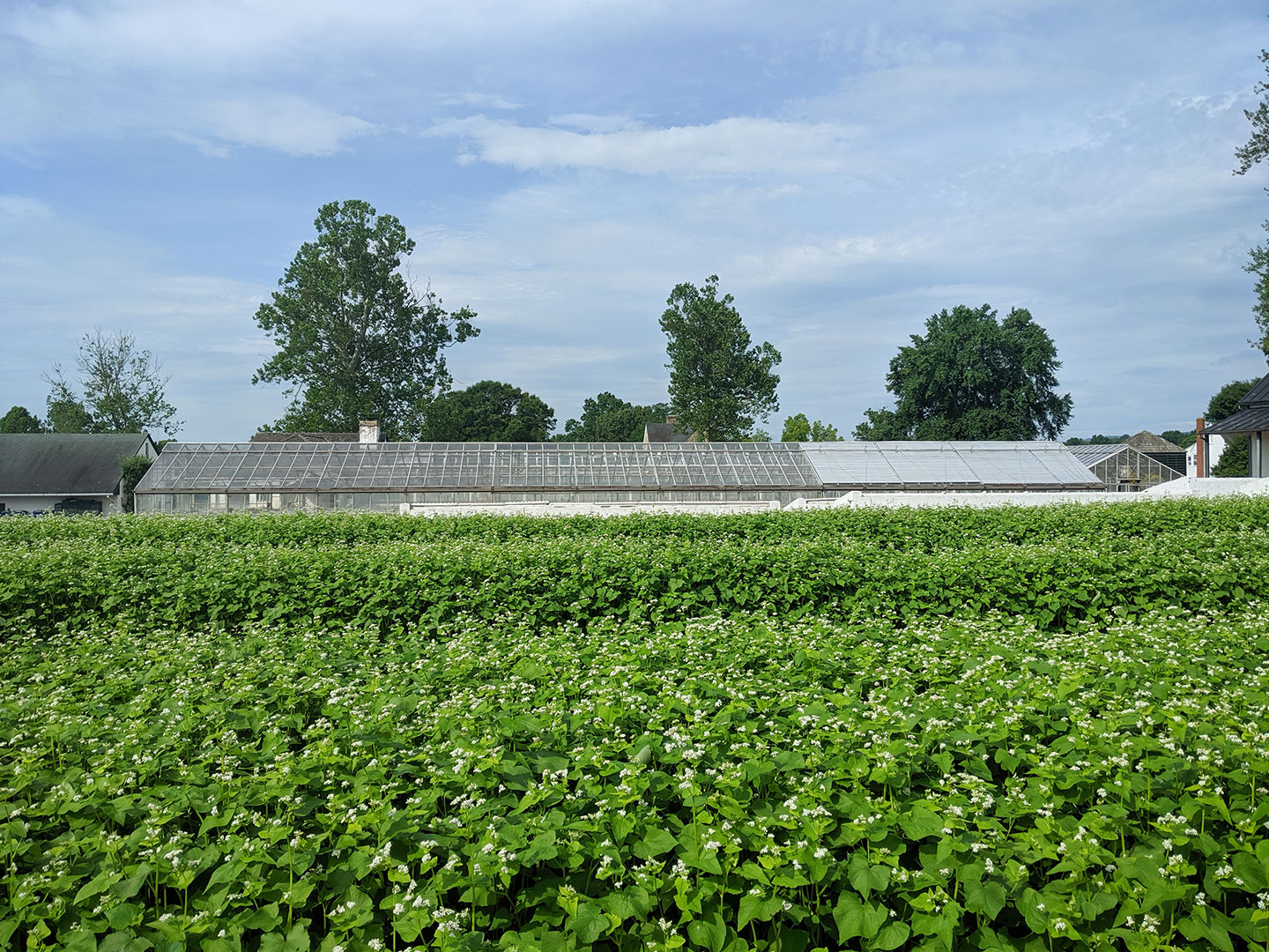 NEW-BCCF-2.jpg