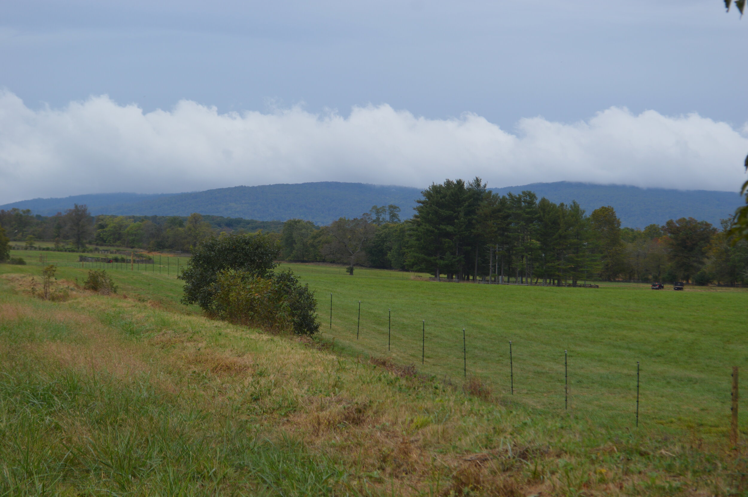  A newly-installed deer fence runs along nearly 44 acres of pasture north of the airstrip. 