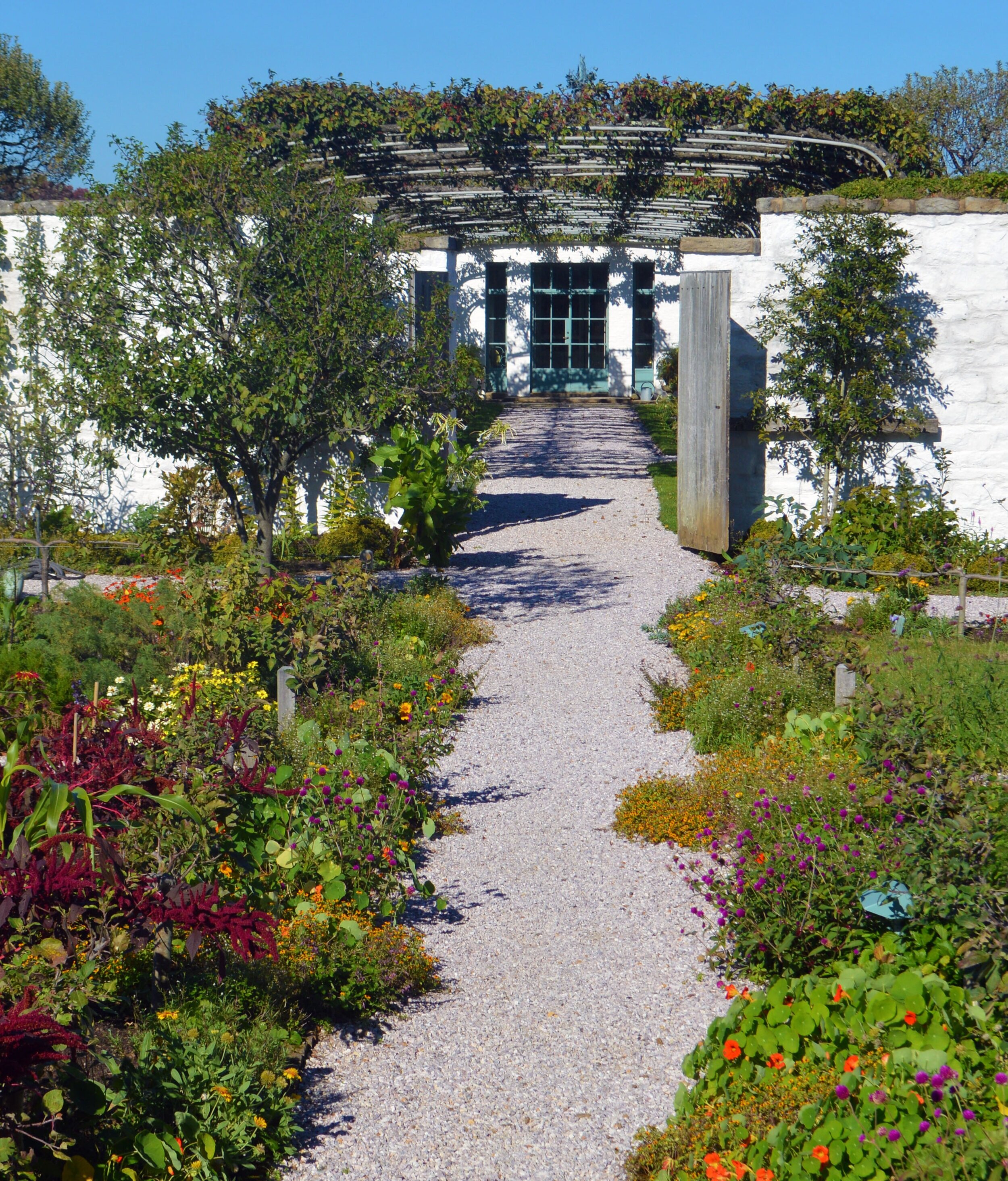  As fall descends on Oak Spring, the formal garden begins to change color: different from the spring and summer, but still as beautiful as ever. Plants like ornamental peppers and mums cast it in autumnal hues of red, orange, and dark green. 