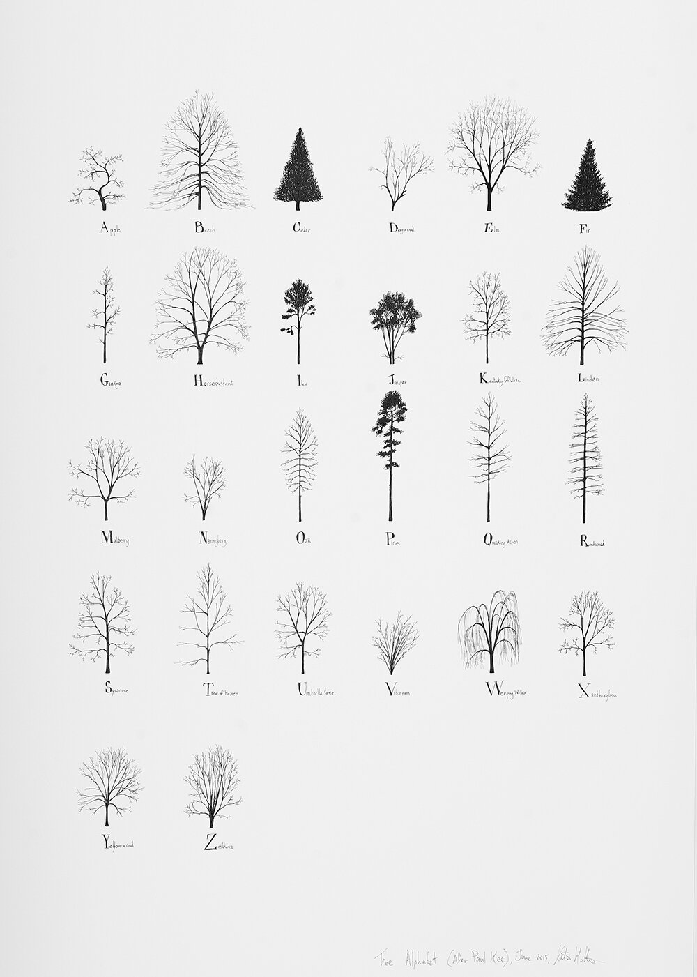  Katie Holten.  Tree Alphabet , 2015, ink on paper, 100 x 70 cm, commissioned by the Zentrum Paul Klee, Bern, Switzerland for the group exhibition  About Trees,  October 16, 2015 - January 24, 2016.  
