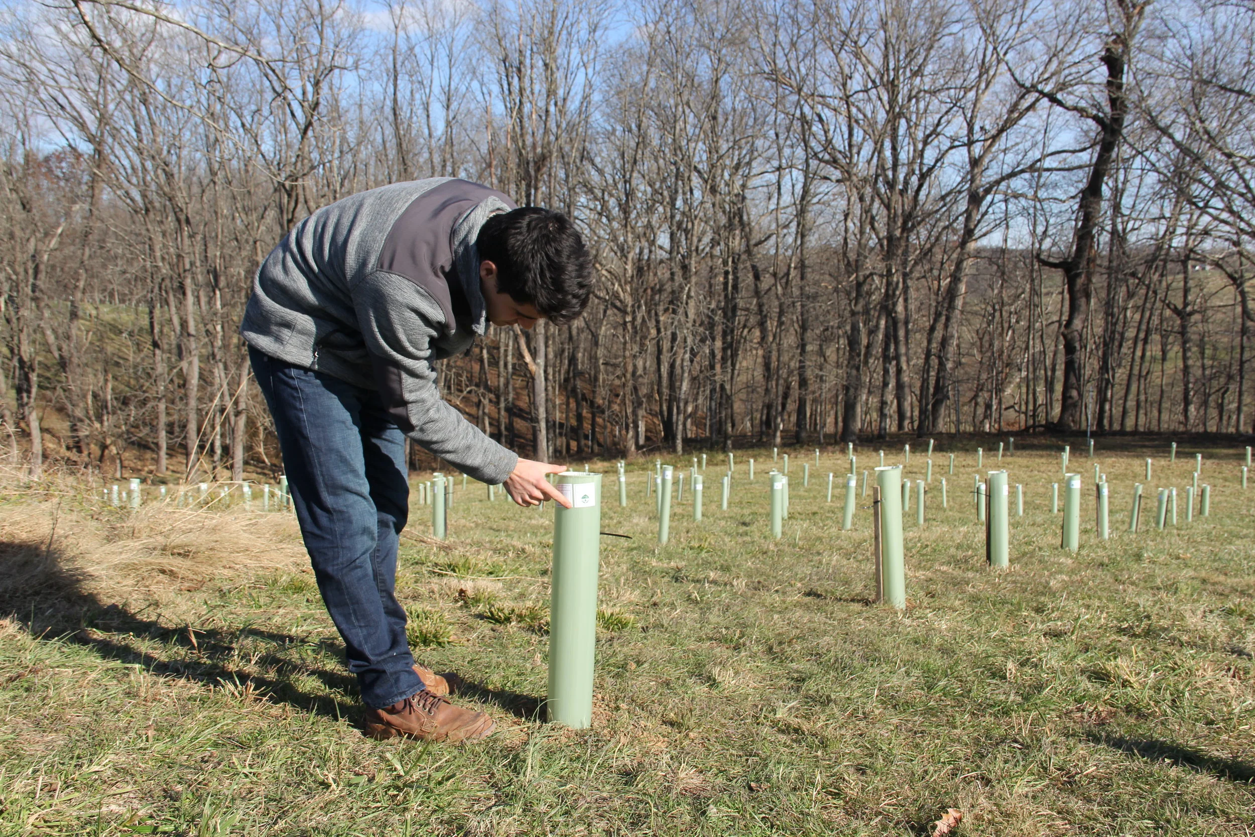 Meet our Staff: TJ Sherman talks stewarding Oak Spring land 