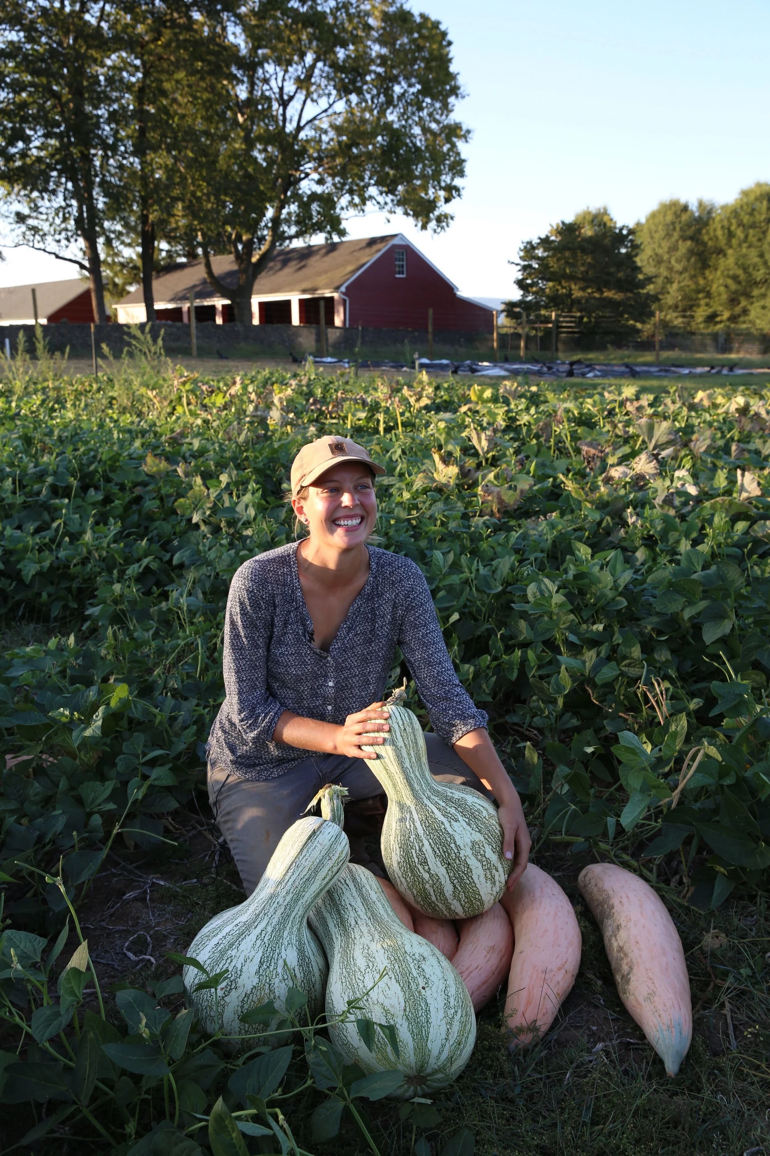 Meet our Staff: BCCF manager Christine Harris talks heirloom crops 