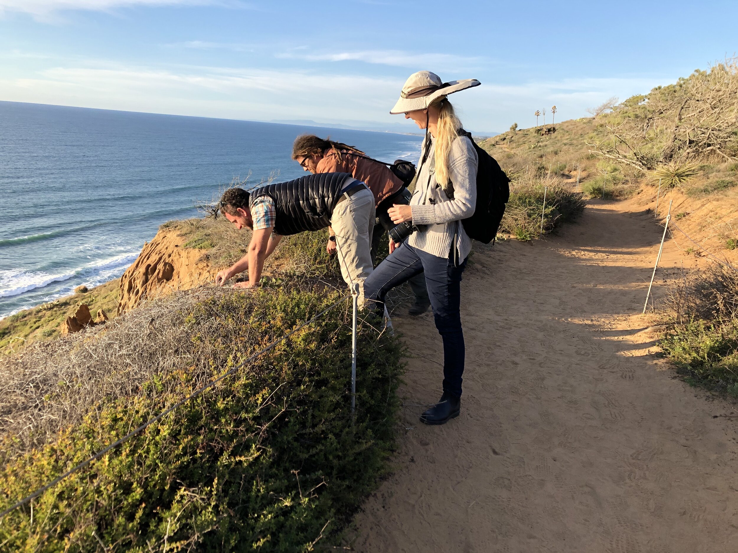  L to R - Ari Novy, Tony Gurnoe and Bradi Eide getting up close with the plants at Torrey Pines State Natural Reserve.