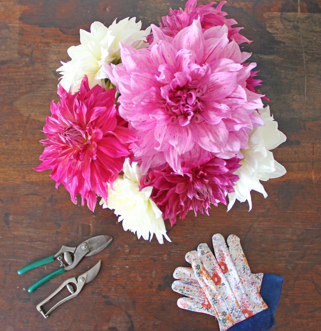 Meet our Staff: Kathy Olimpi Talks Arranging Oak Spring's Flowers