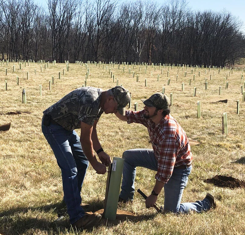 Oak Spring Garden Foundation - Taking Action: Simple Ways to Combat Climate  Change
